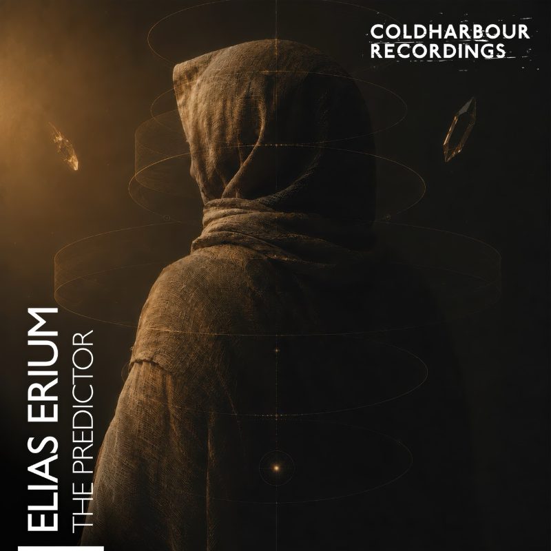 The Predictor - Elias Erium cover art